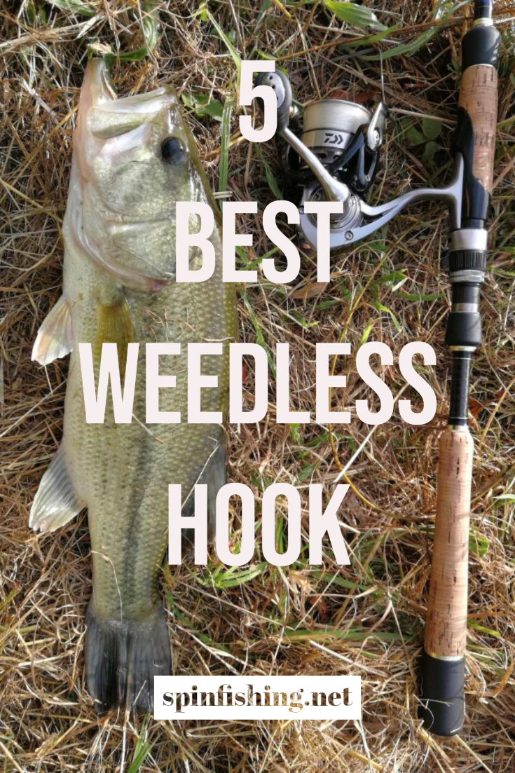5 Best Weedless Hook | Largemouth Bass | Pike | Walleye | Perch | Sea Bass