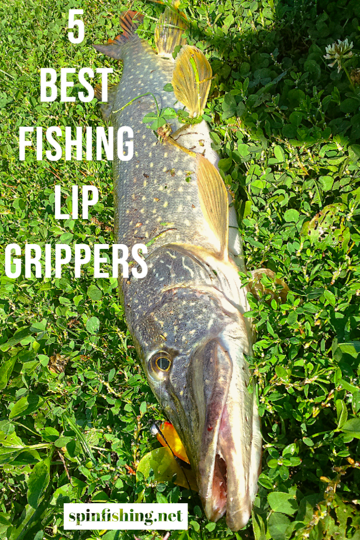 Night Cat Fish Lip Gripper with Scale 2 in 1 Aluminum Alloy Fish Lip Grabber Professional Fishing Lip Gripper Tool Kit for Men 