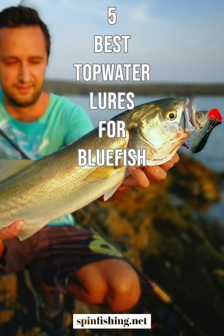 5 Best Topwater Lures For Bluefish | Fishing | Saltwater | Striped Bass | Sea Bass | Dorado | Mahi-Mahi | Largemouth Bass