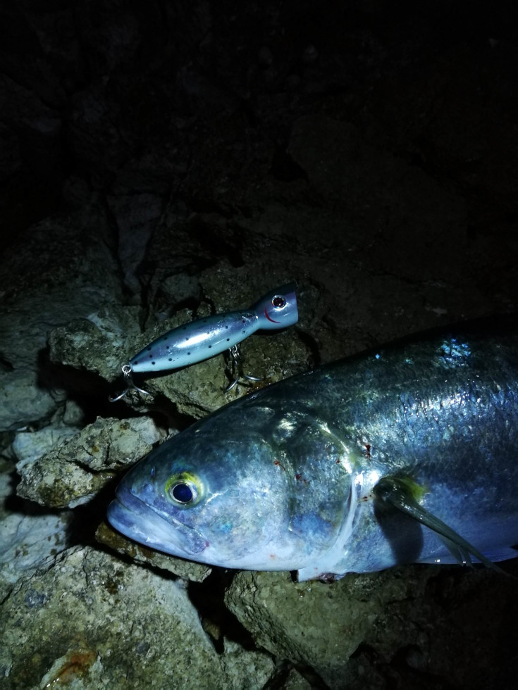 TacklePRO PO-13 Popper | Bluefish | Strijelka | Sea Bass | Leerfish
